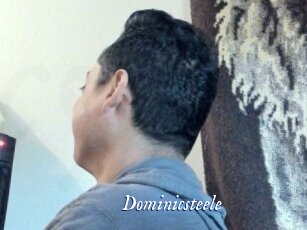 Dominicsteele