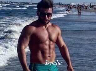 Domluc