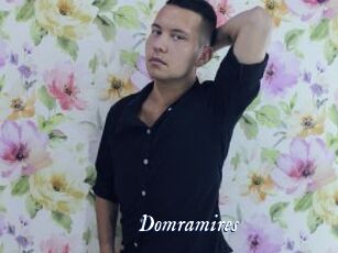 Domramires