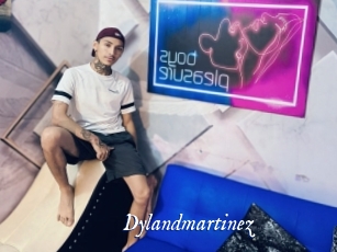 Dylandmartinez