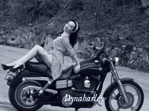 Dynaharley
