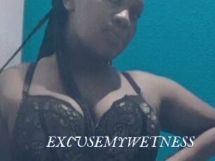 EXCUSEMYWETNESS