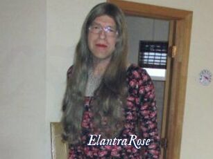 Elantra_Rose