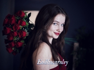 eadlincarnley Cam 5