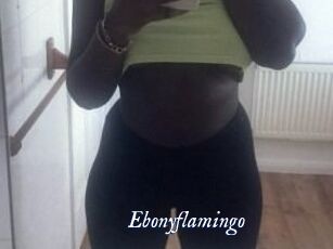 Ebony_flamingo