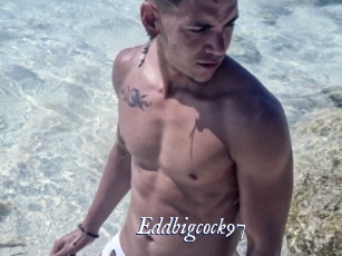Eddbigcock97