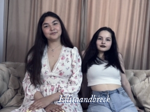 Editaandbreck