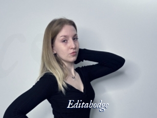 Editabodge