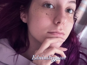 Edwinahiggason