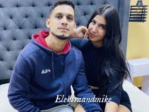 Elektraandmike