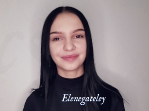 Elenegateley