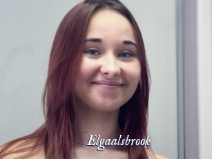 Elgaalsbrook