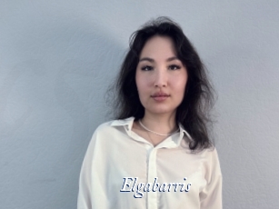 Elgabarris