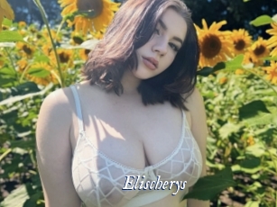 elischerys Cam 5