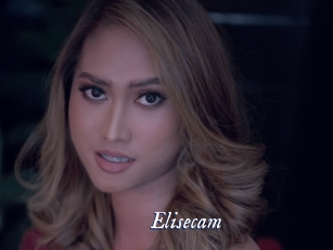 Elisecam
