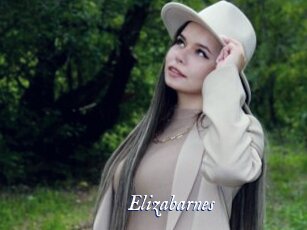 Elizabarnes