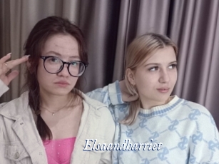 Elsaandharriet