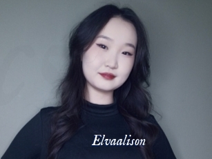 Elvaalison