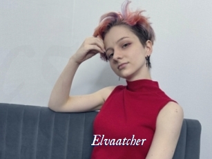 Elvaatcher