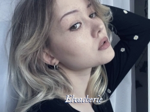 Elvacherie