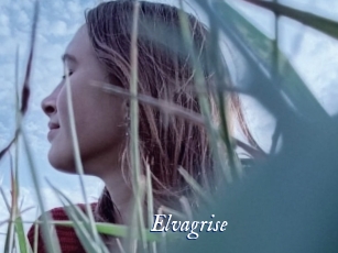 Elvagrise