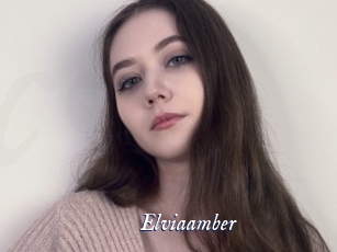 Elviaamber