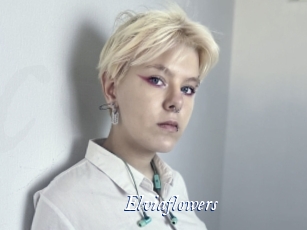 Elviaflowers
