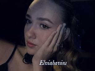 Elviahavins