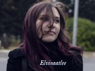 Elvinaatlee