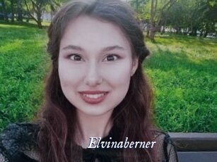Elvinaberner