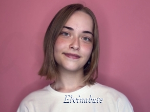 Elvinabute