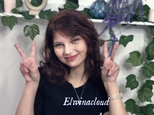 Elwinacloud