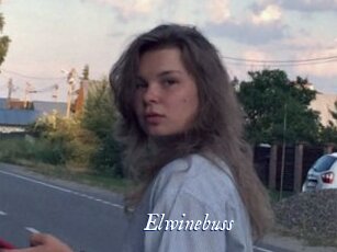 Elwinebuss