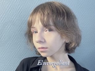 Elwinegallant