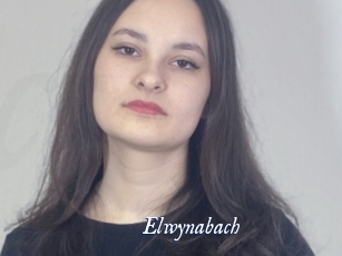 Elwynabach