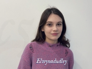 Elwynadudley