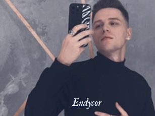 Endycor