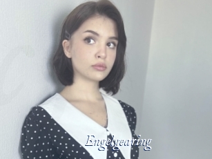 Engelgearing