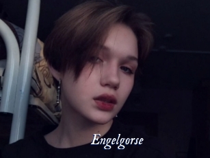 Engelgorse