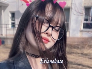 Erlenebate