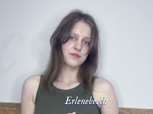 Erlenebeech