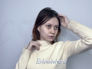 Erlenebolyard