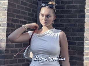 Erlenebrookins