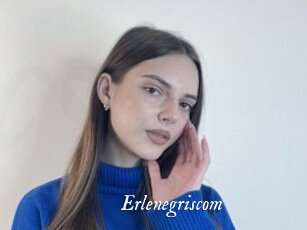 Erlenegriscom