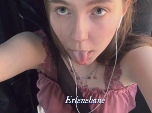 Erlenehane