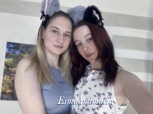 Esmaandmatia