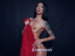 evaamanti Cam 5