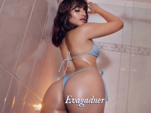 Evagadner
