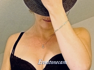 Evastonecam