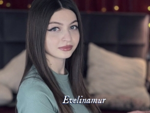 Evelinamur